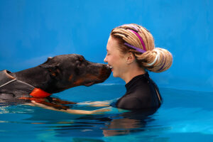 canine hydrotherapy